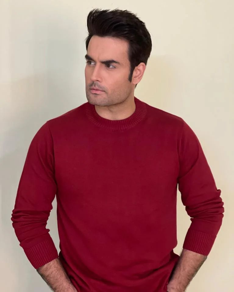 Vivian Dsena’s Wife Nouran Aly Replied To The Rumors Of Her Husband's Participation In Bigg Boss 17; She Writes ‘He Has Been Approached But Won’t Be Doing It'