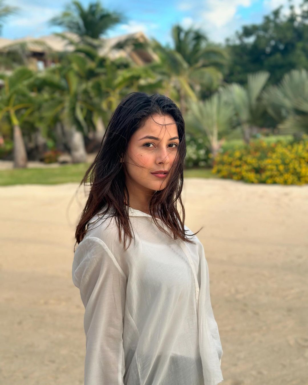 Bigg Boss 13 Contestant Shehnaaz Gill’s Late-Night Stroll At Time Square Pictures Grabbed Wide Attention. See Here To Learn How!