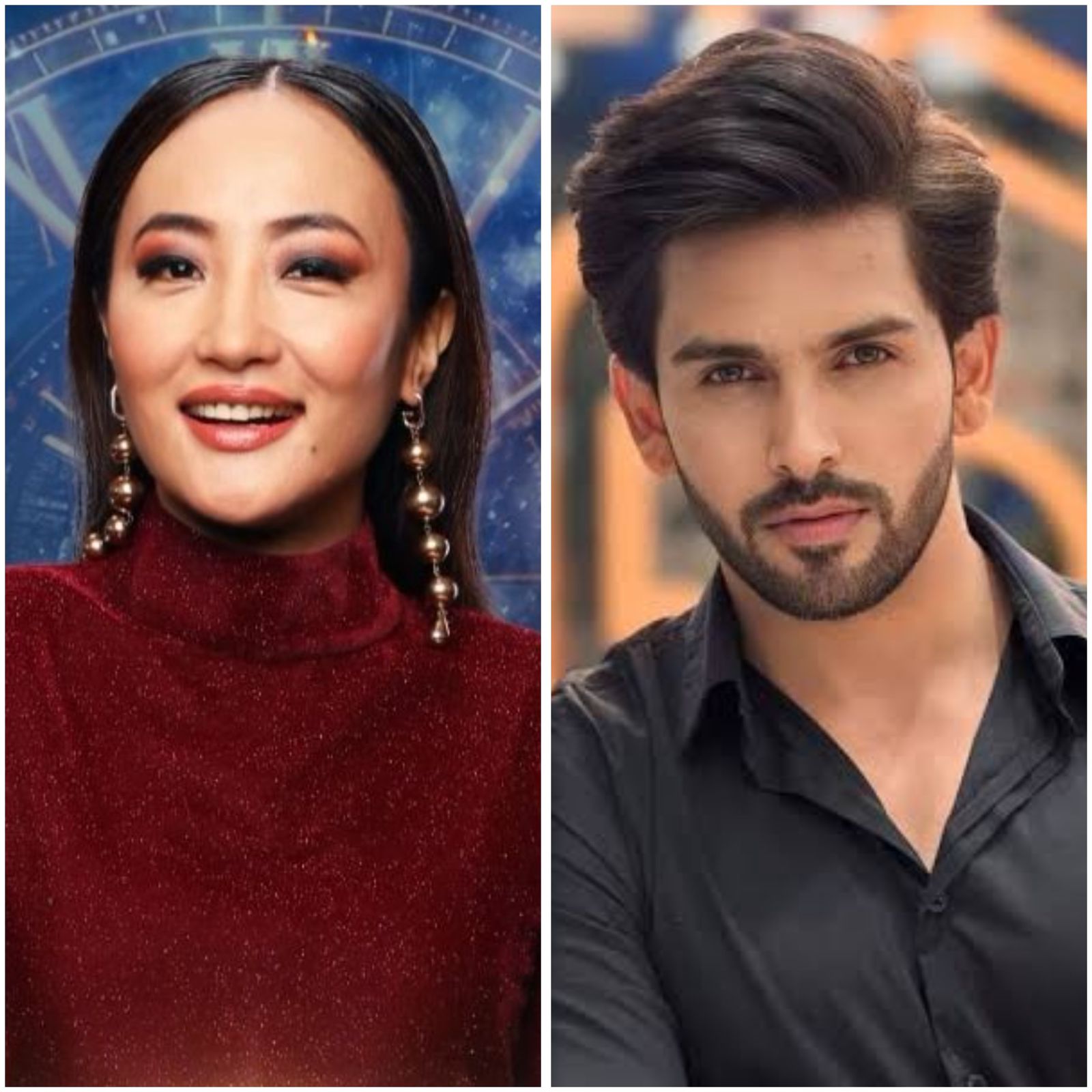 Bigg Boss 18: Chum Darang gets targeted by Shehzada Dhami and Avinash Mishra for her Ethnicity