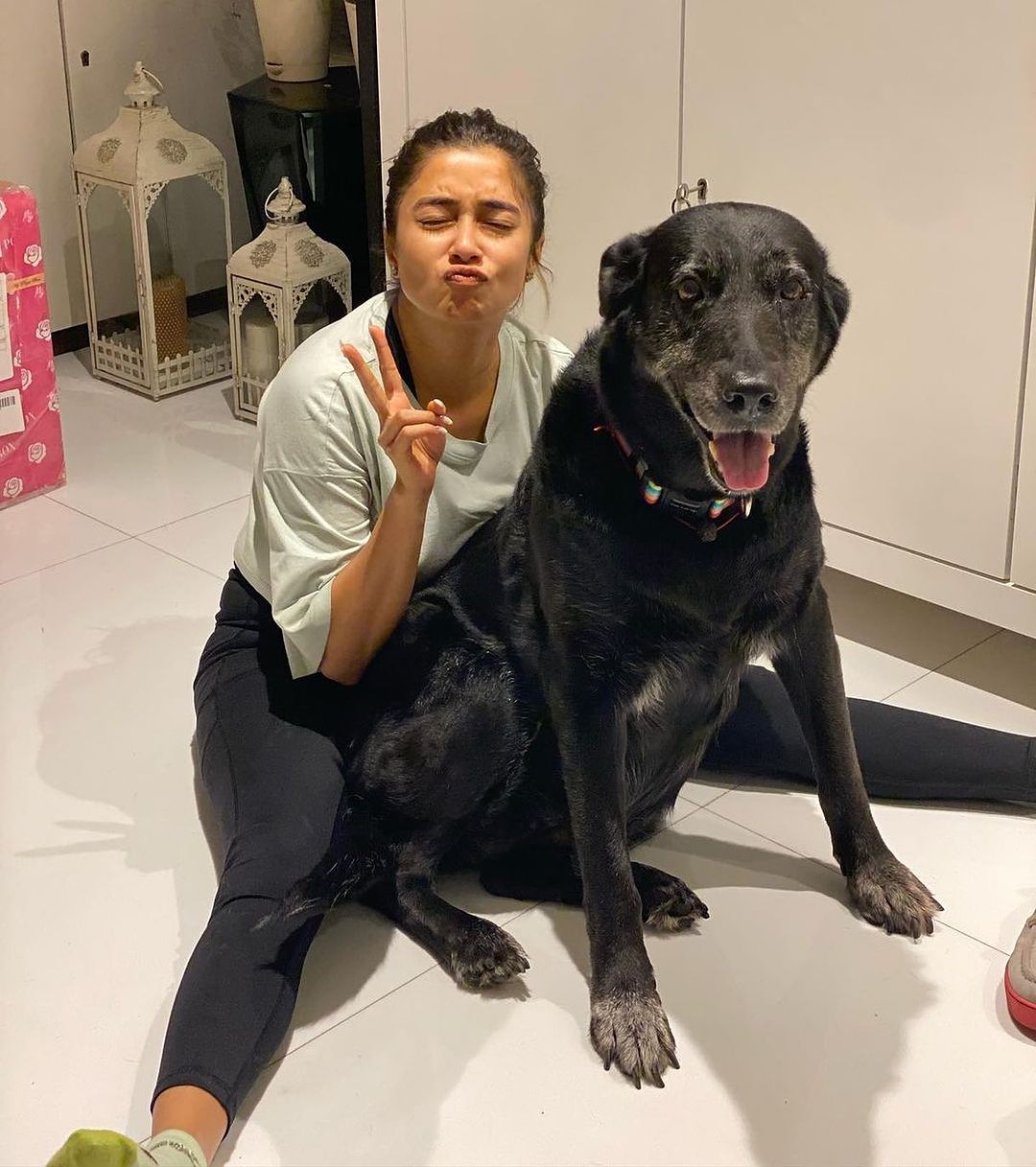 Actress Tina Datta Remembers Her Late Dog Rani On Its First Anniversary. She Shared an emotional Note On Her Social Media Account. 