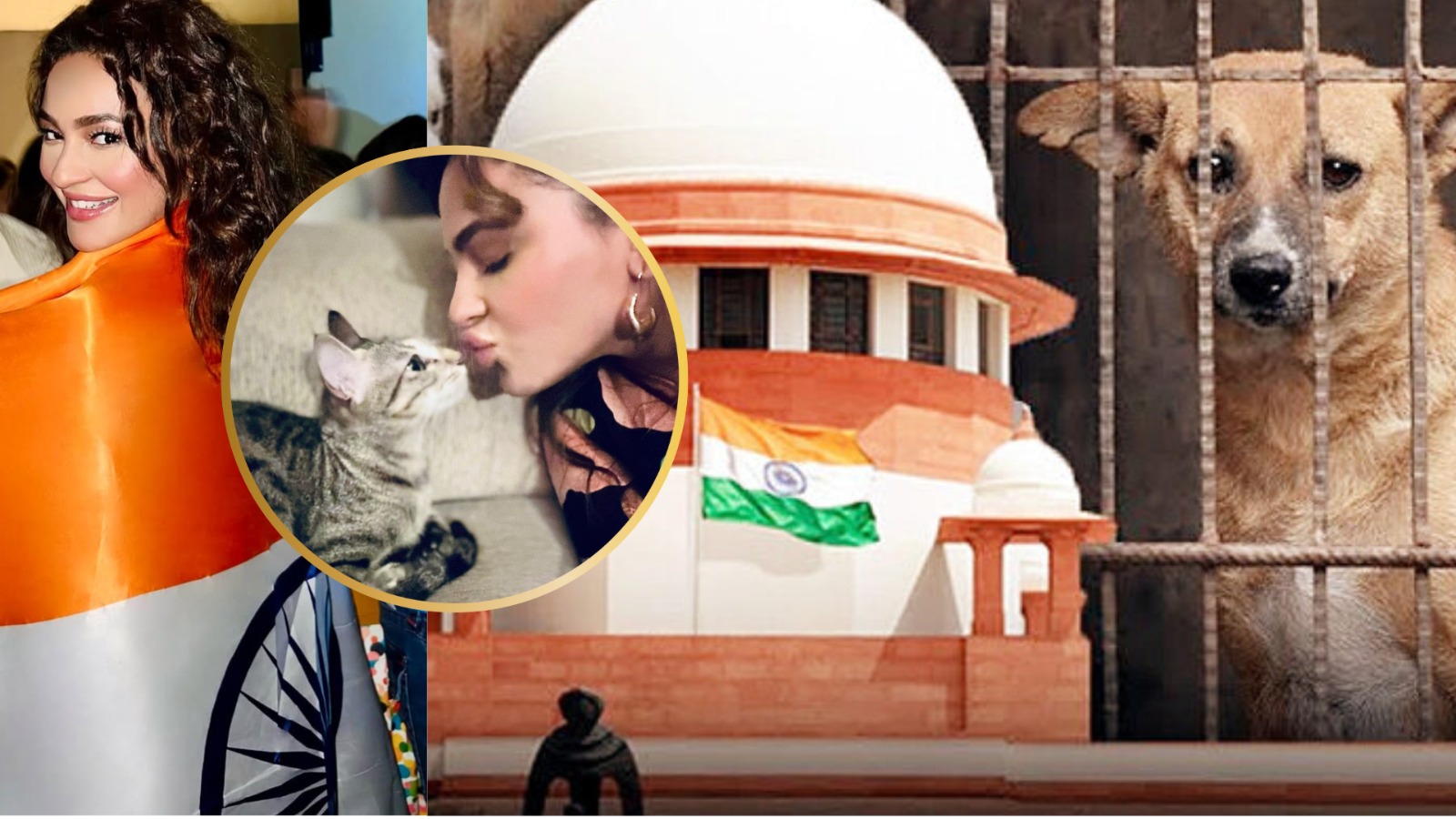 Seerat Kapoor Urges On This 79th Independence Day: “If We Truly Value Freedom, Let’s Offer It to Stray Animals Too. Patriotism isn’t just about flags and speeches, it can also be about how we treat the most vulnerable among us”