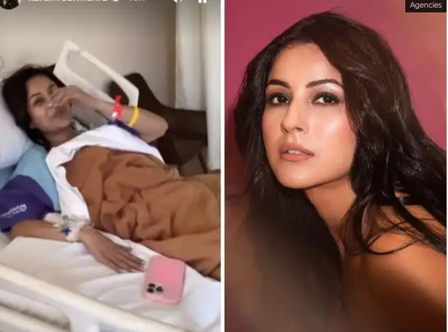 Stunning Star Shehnaaz Gill Hospitalized Whose Health Updates Have Shared By Bigg Boss 18 Winner. Let’s Explore The Details Here!