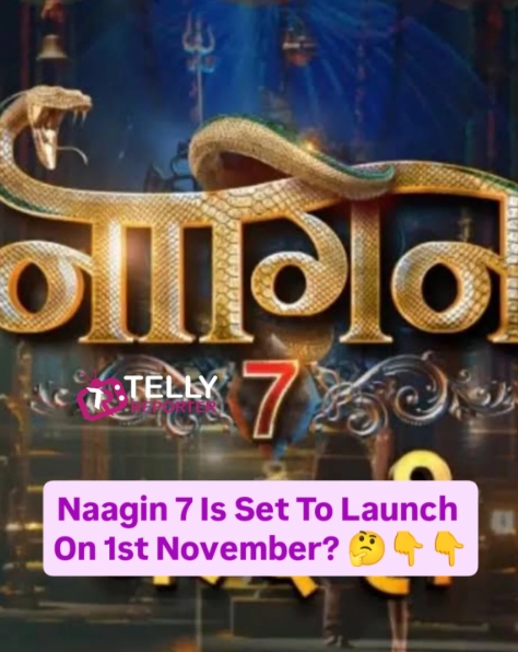 Finally, We Have That Surprising Moments! Yup, After A Long Wait, The Supernatural Fictional Show Naagin 7 Is Set To Return!