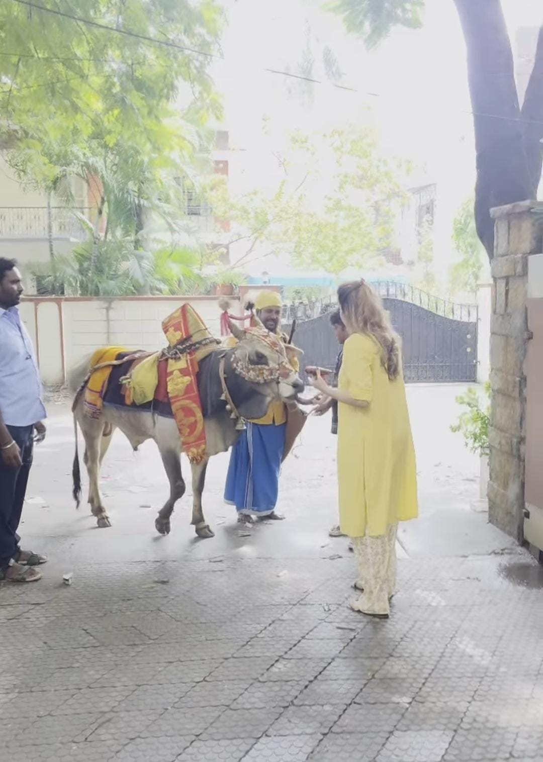 After Surgery, Bigg Boss 18 Fame Shrutika Arjun Embraces a Simple Diwali; says, “No Matter What Life Throws Our Way, Nothing Can Dim the Light of Diwali